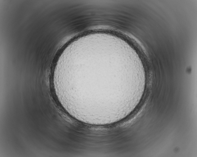 X0000116310921201001111135