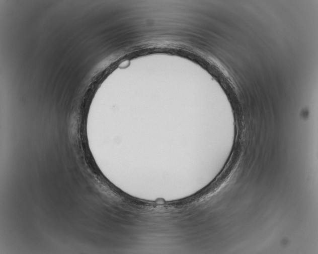 X0000116310922201001111135