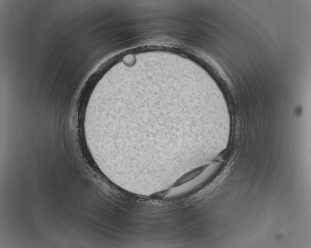 X0000116310923201001111135