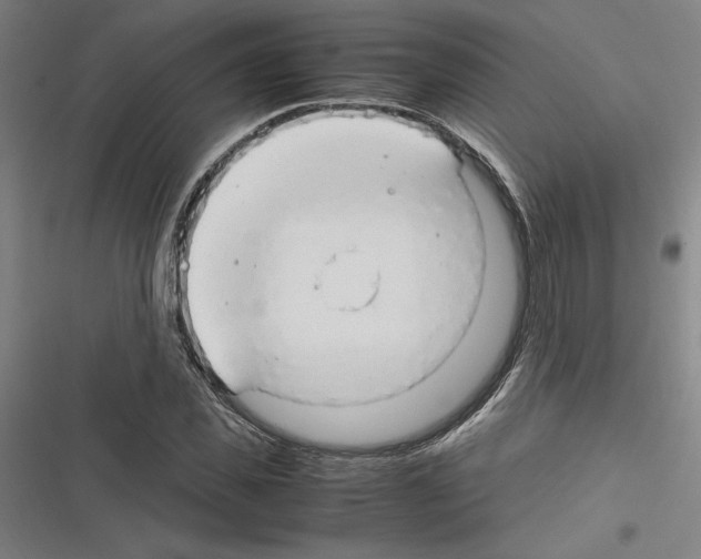 X0000116310925201001111135