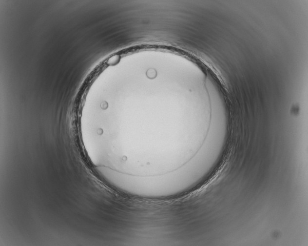 X0000116310926201001111135