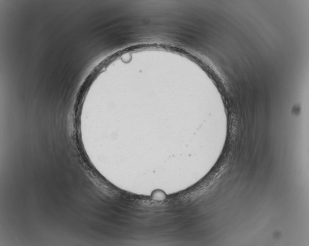 X0000116310927201001111135