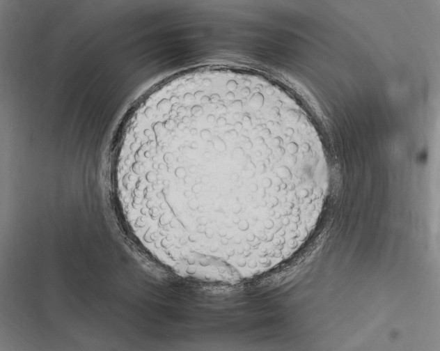 X0000116310931201001111135