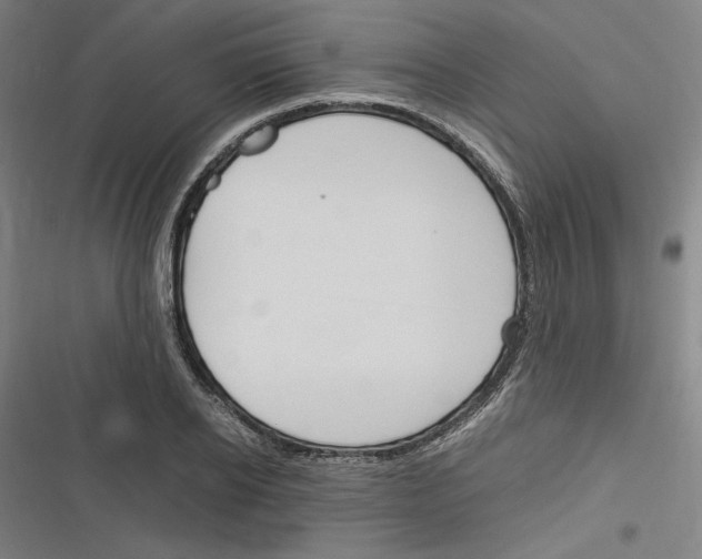 X0000116310934201001111135