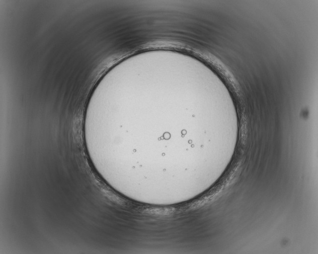 X0000116310937201001111135