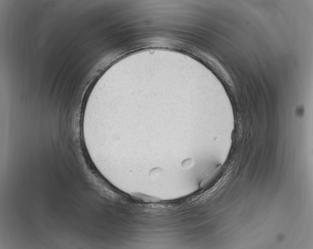 X0000116310938201001111135