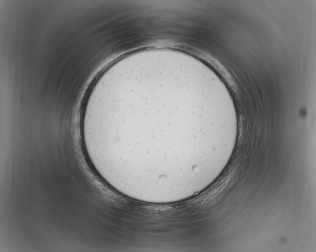 X0000116310939201001111135