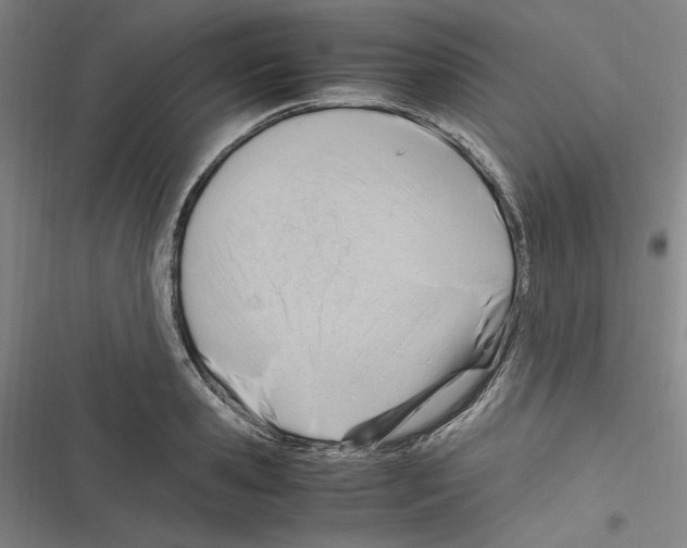 X0000116310941201001111135