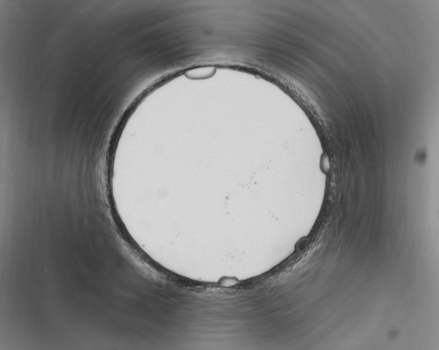 X0000116310942201001111135