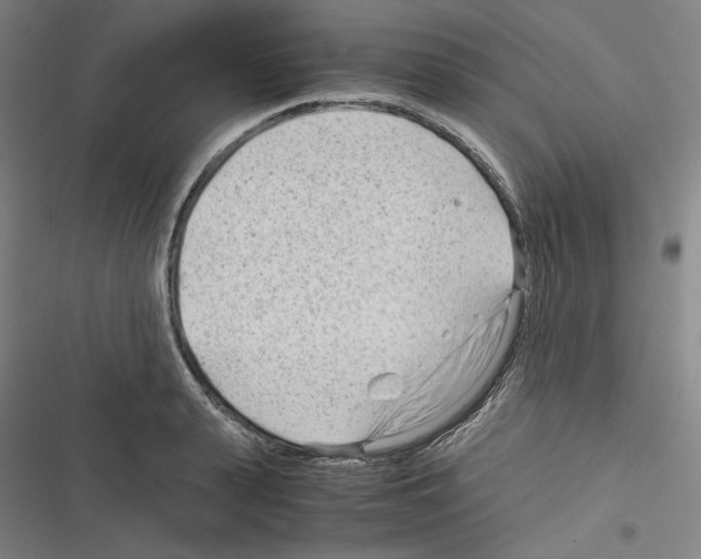 X0000116310943201001111135