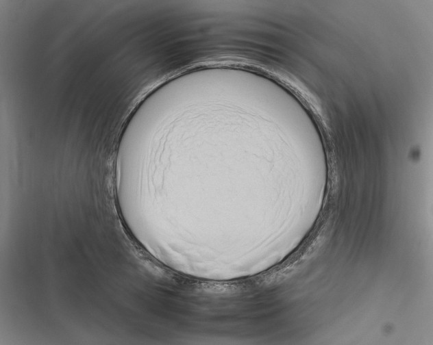 X0000116310945201001111135