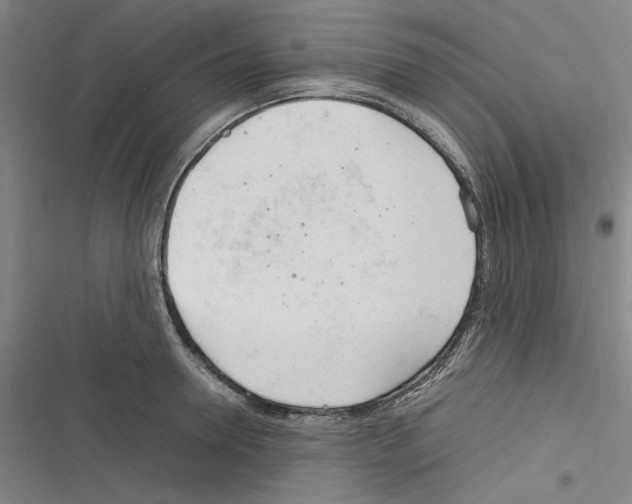 X0000116310946201001111135