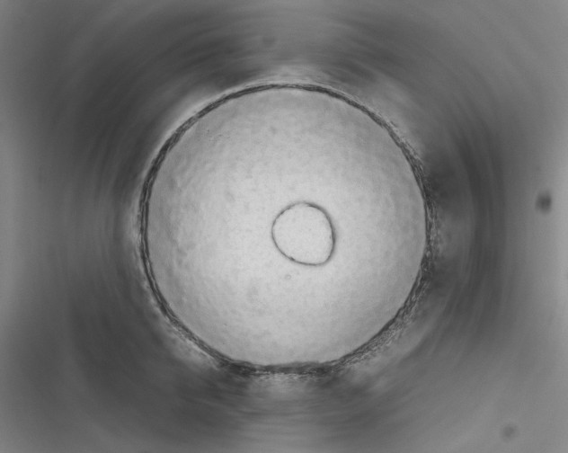 X0000116310950201001111135