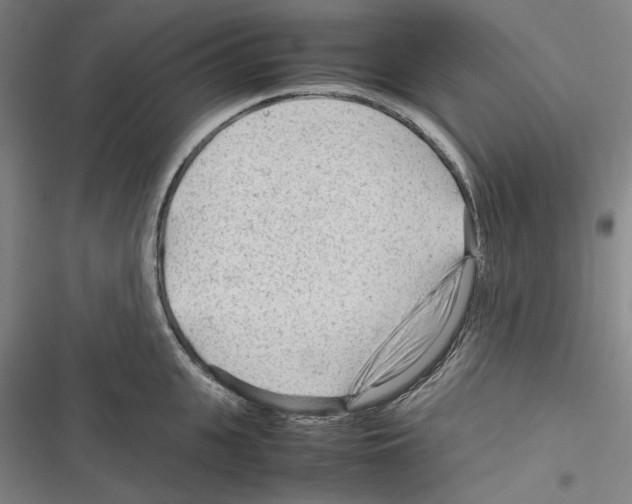 X0000116310951201001111135