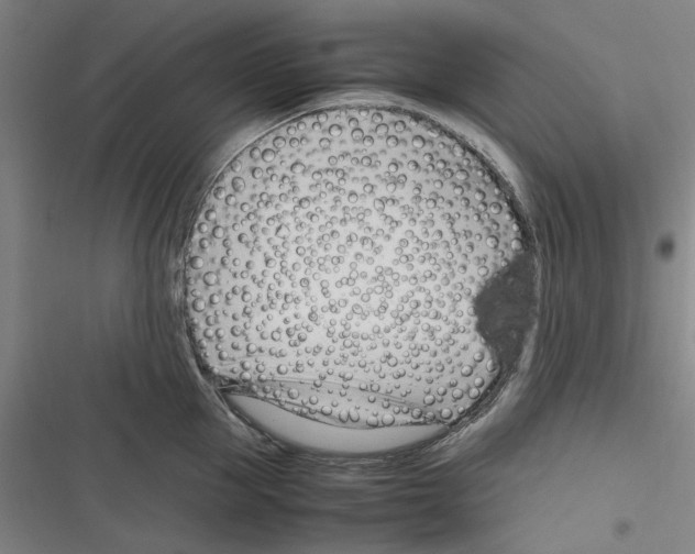 X0000116310953201001111135