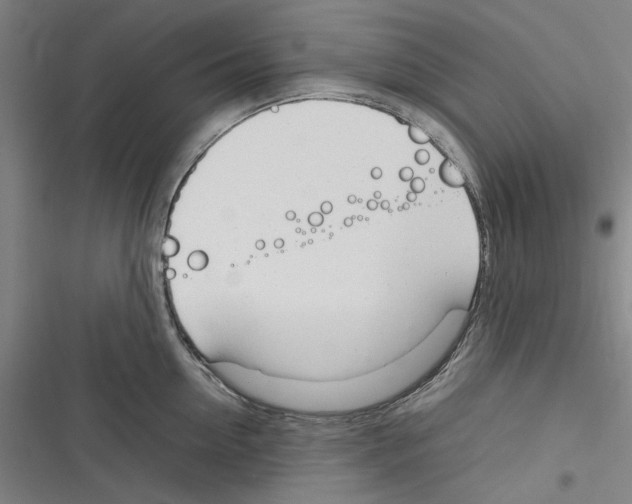 X0000116310954201001111135