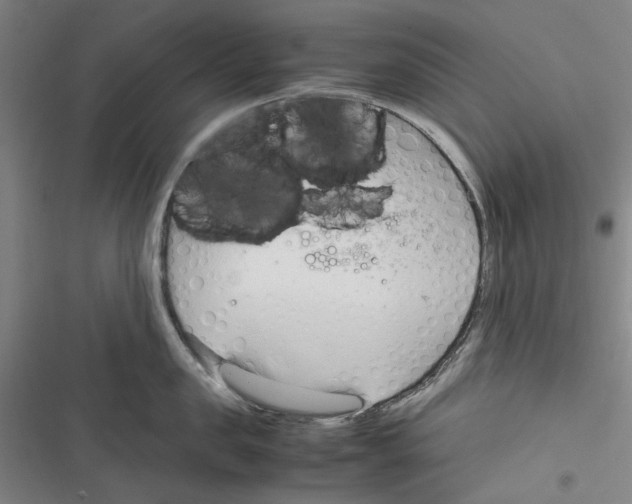 X0000116310957201001111135