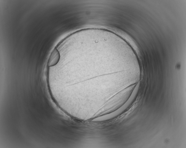 X0000116310958201001111135