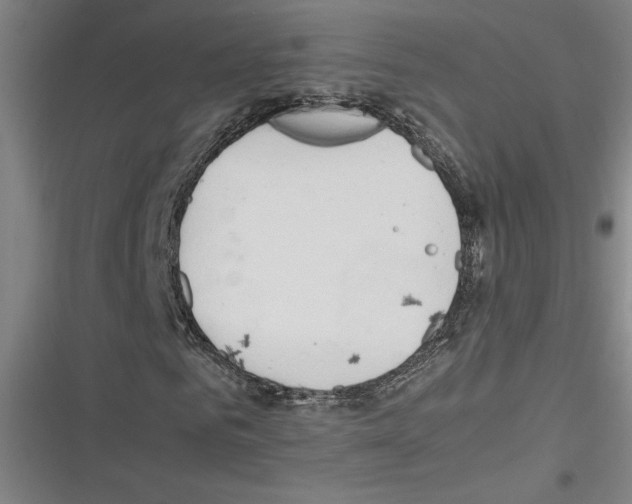 X0000116310961201001111135