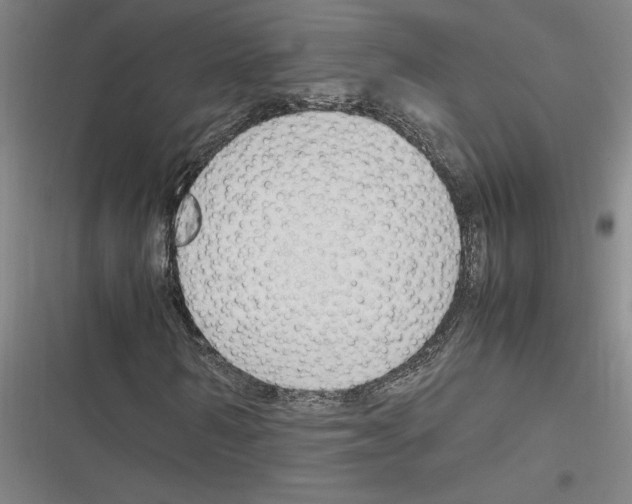 X0000116310962201001111135