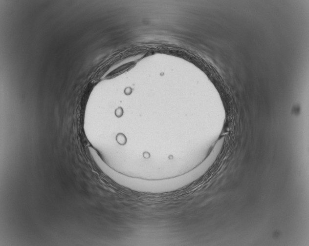 X0000116310965201001111135