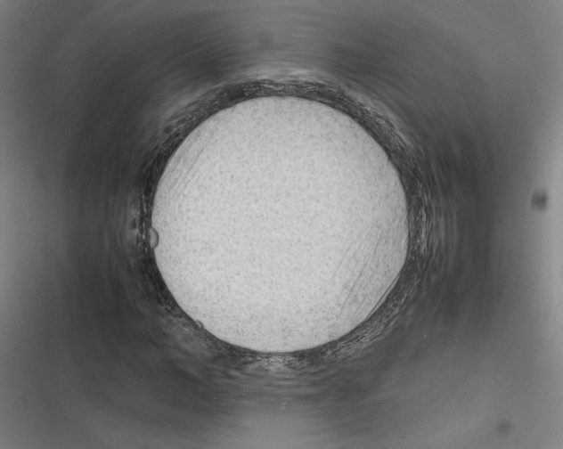 X0000116310966201001111135