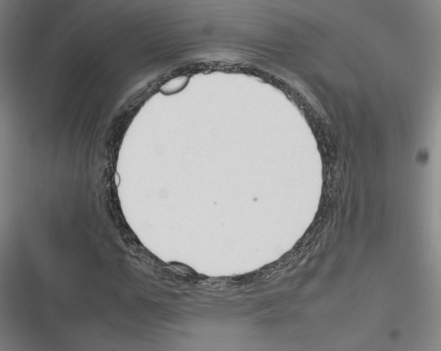 X0000116310967201001111135