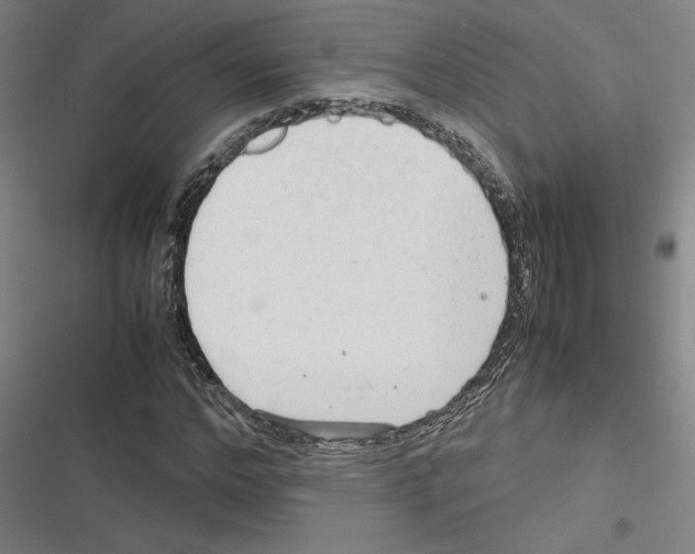 X0000116310968201001111135