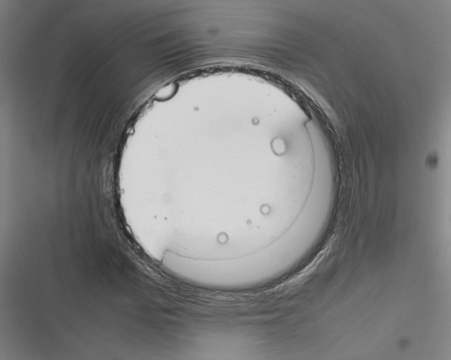 X0000116310969201001111135