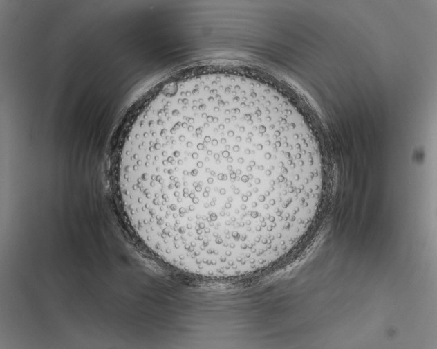 X0000116310970201001111135