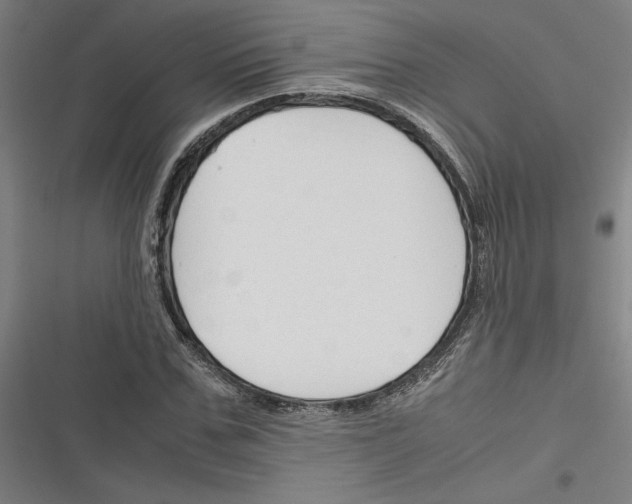 X0000116310971201001111135