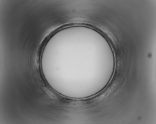 X0000116310973201001111135