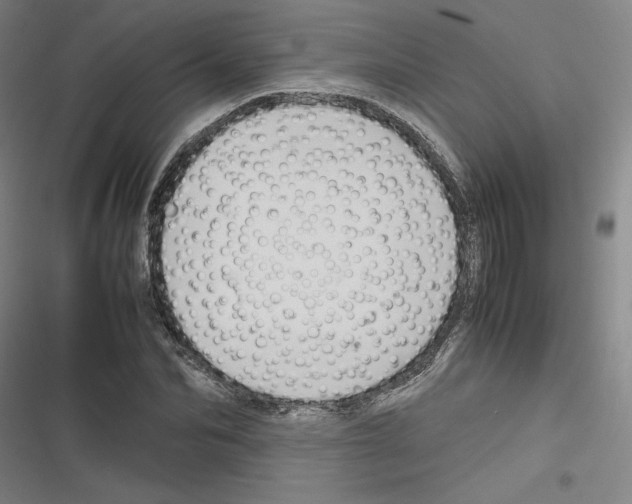 X0000116310974201001111135