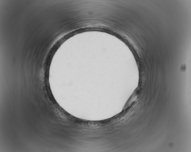 X0000116310975201001111135