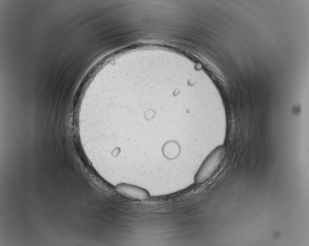 X0000116310976201001111135