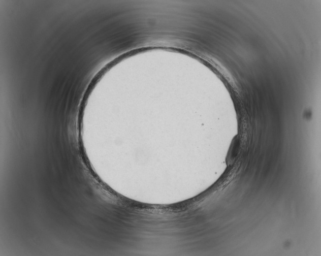 X0000116310980201001111135