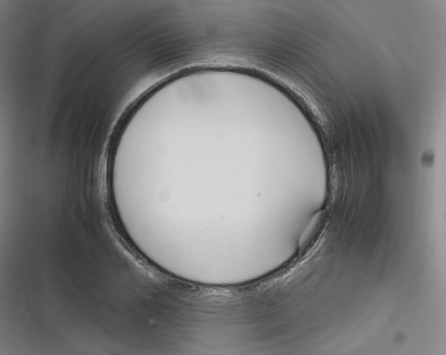 X0000116310982201001111135