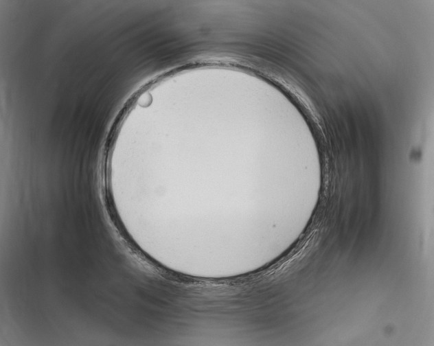 X0000116310984201001111135