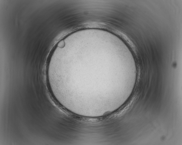 X0000116310986201001111135