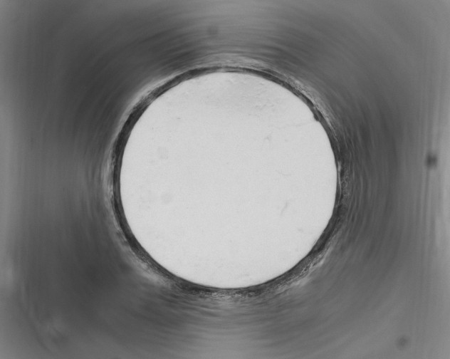 X0000116310987201001111135