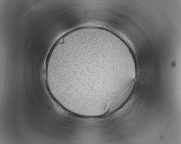 X0000116310988201001111134