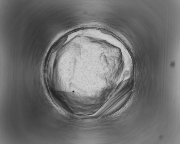 X0000116310989201001111134