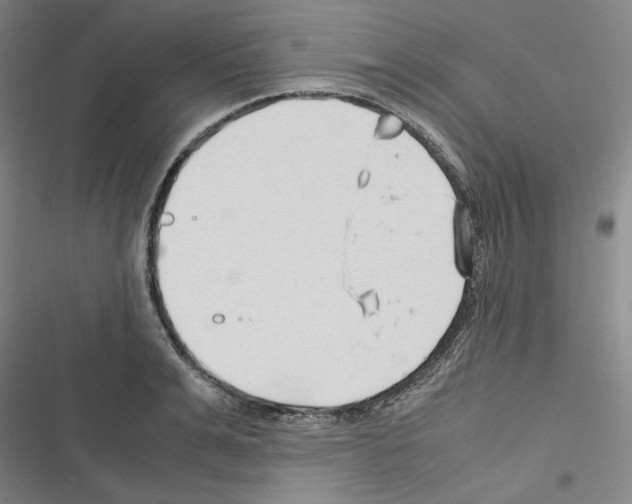 X0000116310991201001111134