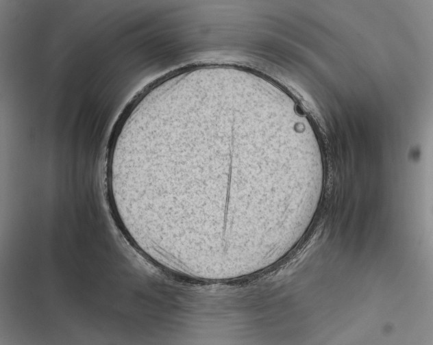 X0000116310992201001111134