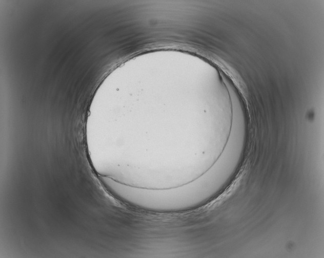 X0000116310993201001111134