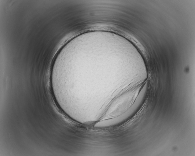 X0000116310994201001111134