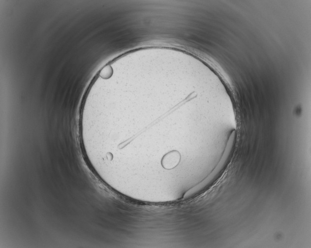 X0000116310996201001111134