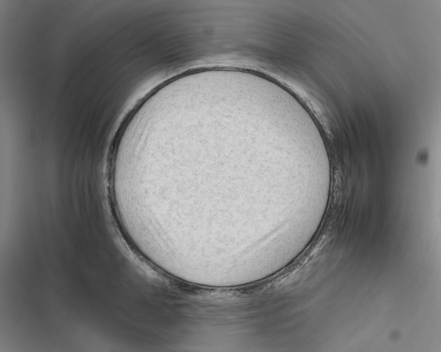 X0000116310998201001111134