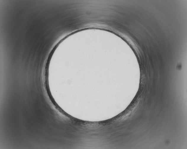 X0000116310999201001111134