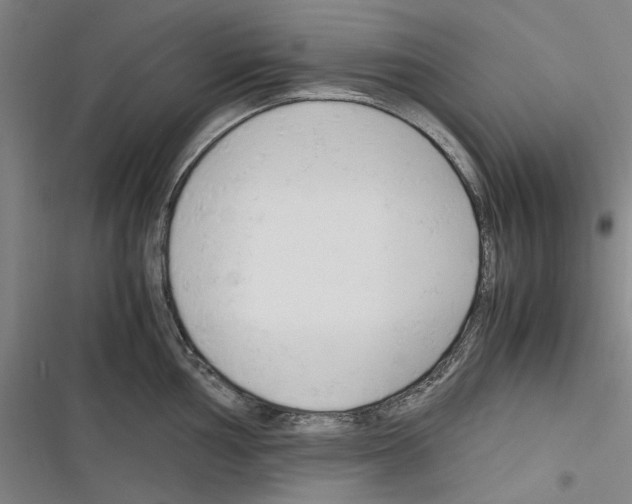 X0000116311002201001111134